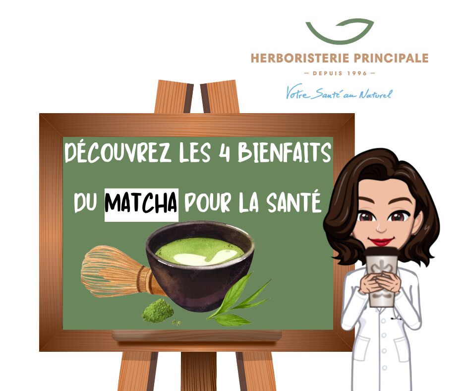 DÉCOUVREZ LES 4 BIENFAITS DU MATCHA POUR LA SANTÉ