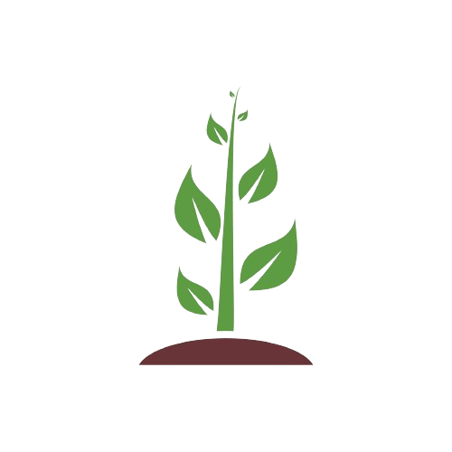 icone description plante herbier