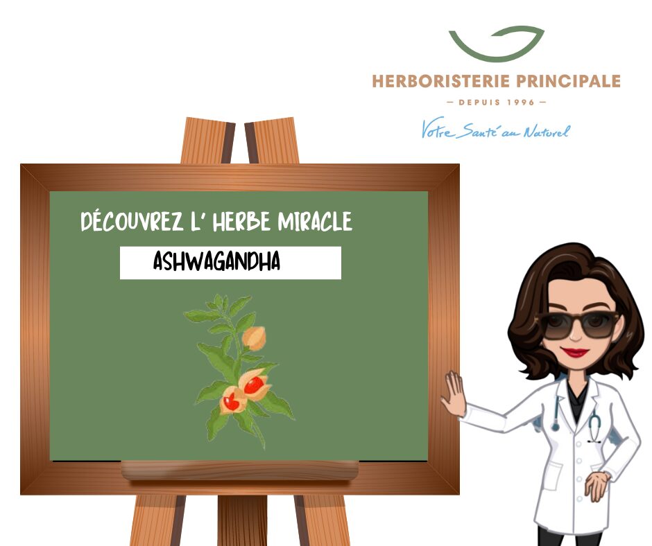 DÉCOUVREZ L’ HERBE MIRACLE L’ASHWAGANDHA POUR UNE VIE SAINE ET ÉQUILIBRÉE