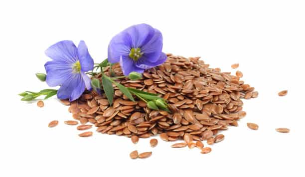 Chia : plante médicinale