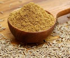 Cumin : plante médicinale