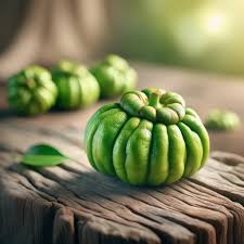 Garcinia Cambogia extrait sec : plante médicinale