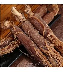 Ginseng Rouge : Plante Médicinale 