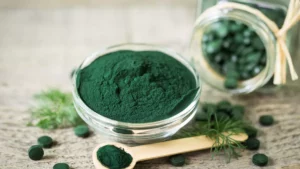 article blog spiruline