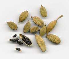 Cardamome : plante médicinale 