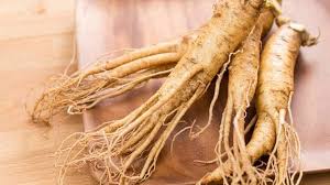 ginseng blanc description1 Ginseng : Plante Médicinale