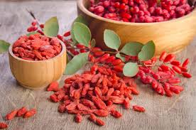 goji description1 Goji : Plante médicinale