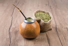 mate vert description Maté Vert : Plante médicinale