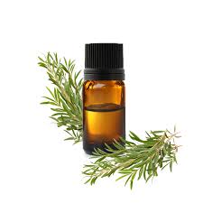 Tea Tree Huile essentielle