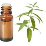 Huile essentielle : Verveine Odorante