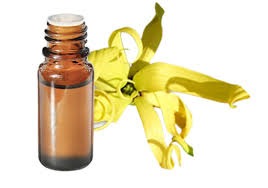 Ylang-Ylang Huile essentielle