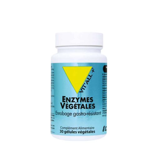Enzymes Végétales 30 gélules Vit'All+ Digestion Maroc