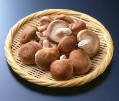 Shiitake : Plante Médicinale