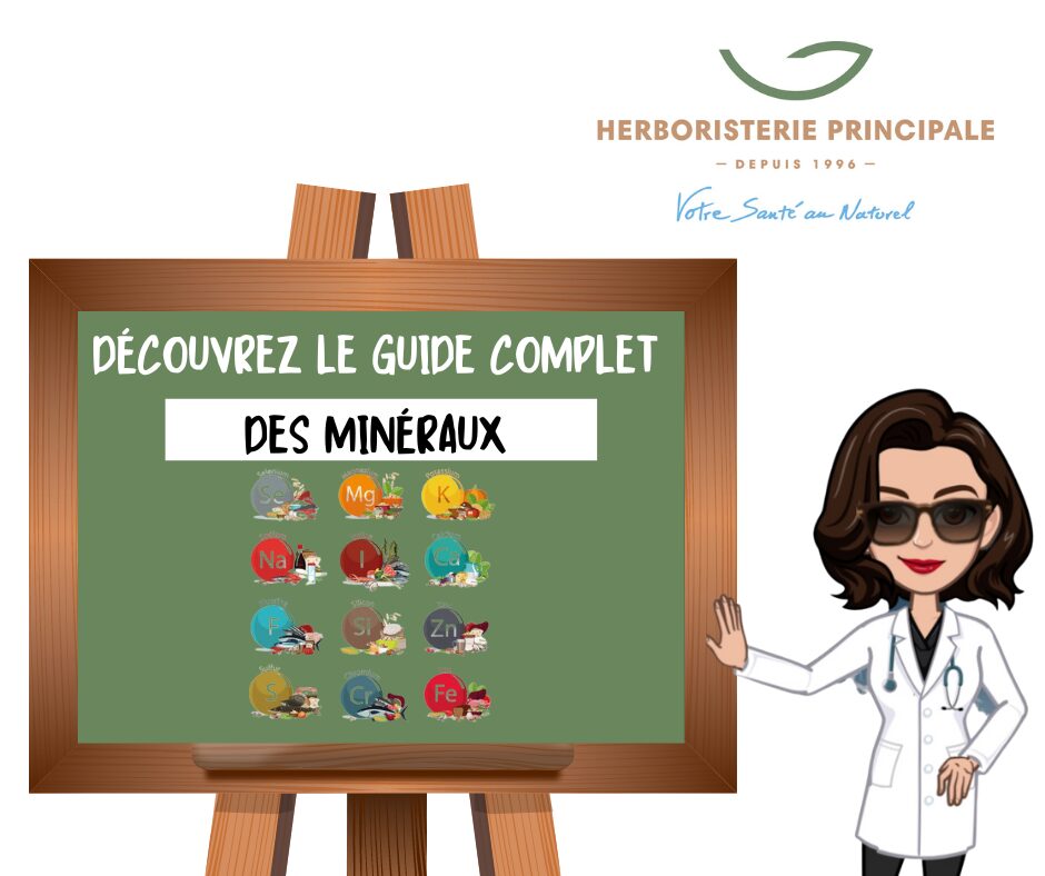 DÉCOUVREZ LE GUIDE COMPLET DES MINÉRAUX