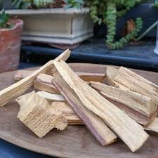 palo santo description2 Palo santo : plante médicinale