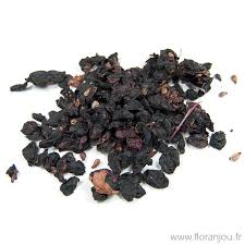 raisin marc description2 Raisin Marc : Plante médicinale
