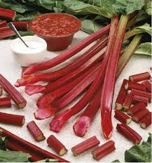 rhubarbe description2 Rhubarbe : Plante Médicinale