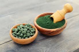 spiruline description2 1 Spiruline : Plante médicinale