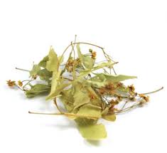 Tilleul de Carpentras : plante médicinale 