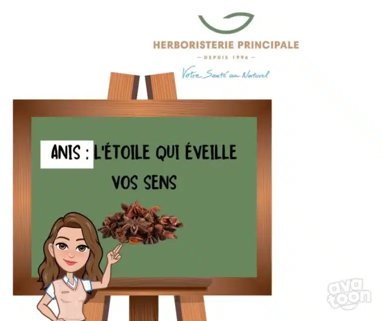 caricature article blog anis