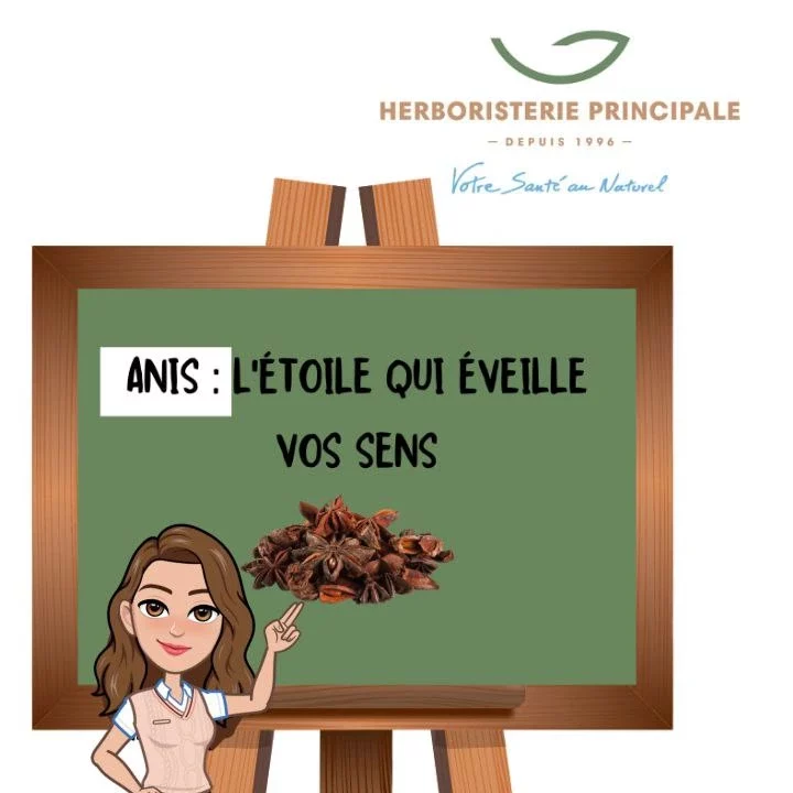 Quels sont les bienfaits de l’anis ?