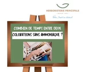 Article Combien de temps entre deux colorations sans ammoniaque