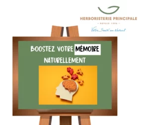 Article boostez votre mémoire