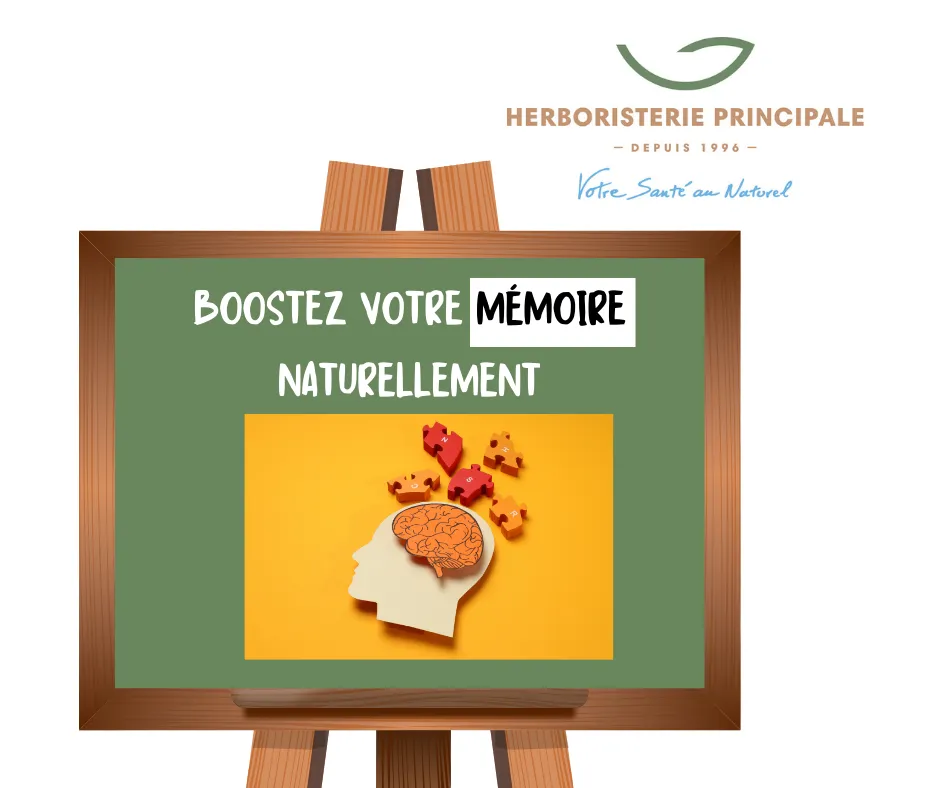 Boostez votre mémoire naturellement : les secrets naturels pour un esprit vif et éveillé !