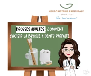 Article brosses adultes