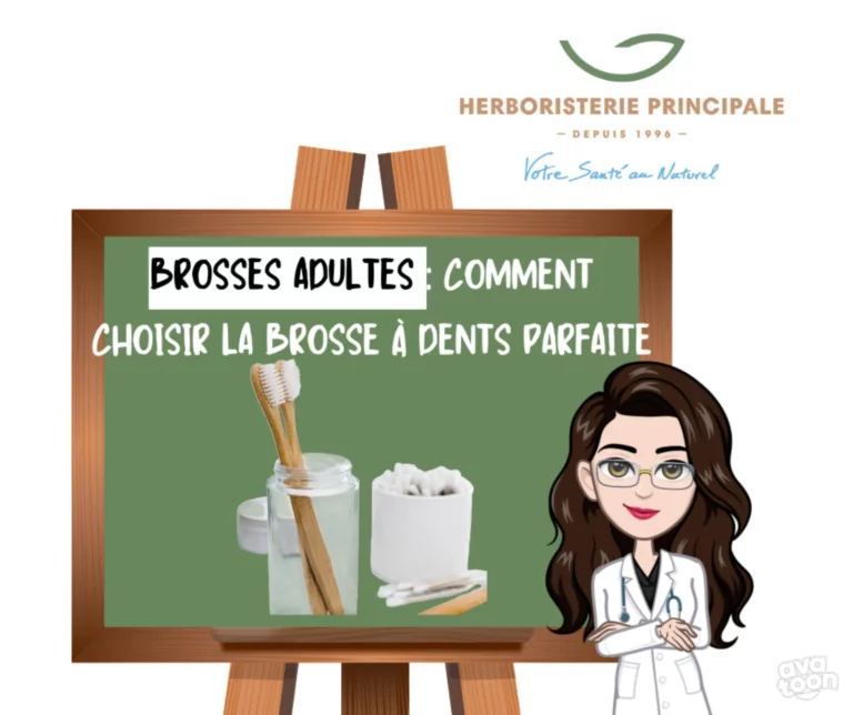 Article brosses adultes