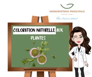 Article coloration naturelle aux plantes