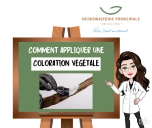 Article comment appliquer une coloration végétale