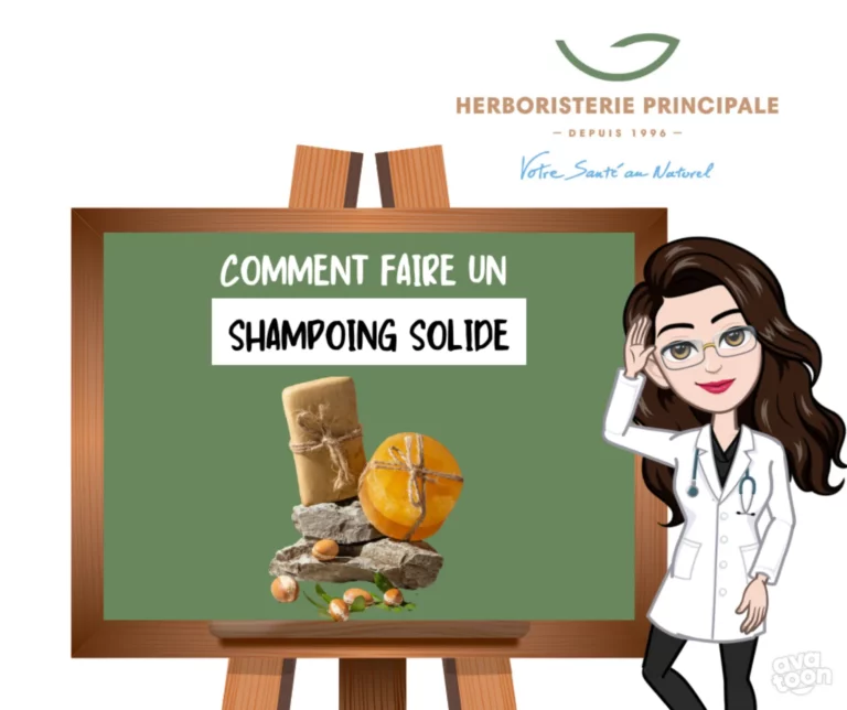 Article comment faire un shampoing solide Article comment faire un shampoing solide