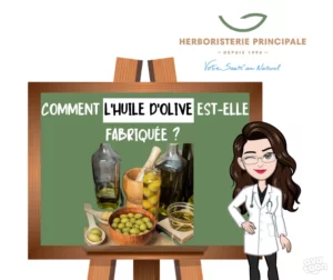 Article comment l'huile d'olive est-elle fabriquée