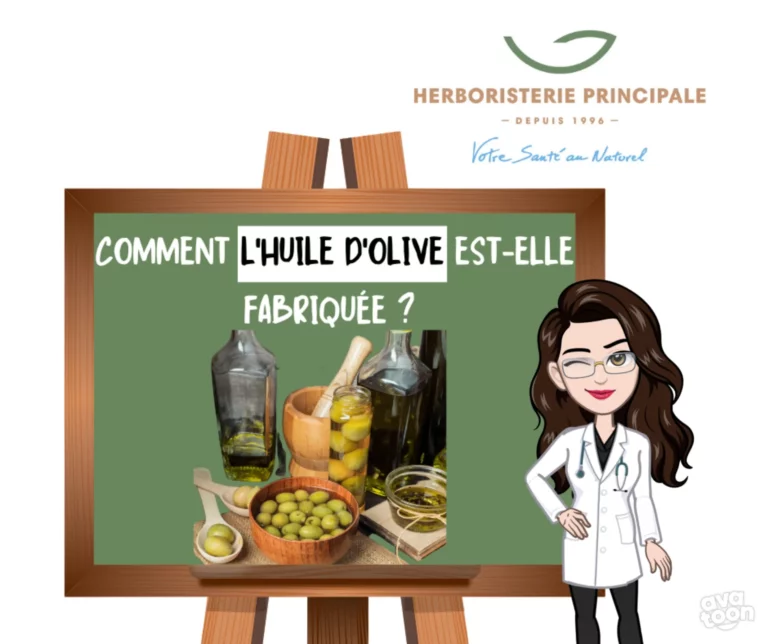 Article comment lhuile dolive est elle fabriquee Article comment l'huile d'olive est-elle fabriquée