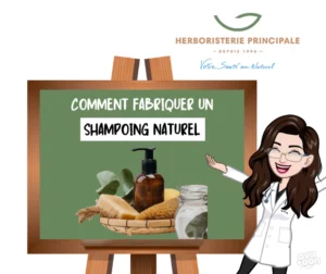 Article comment fabriquer un shampoing naturel