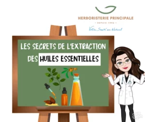 Article extraction des huiles essentielles