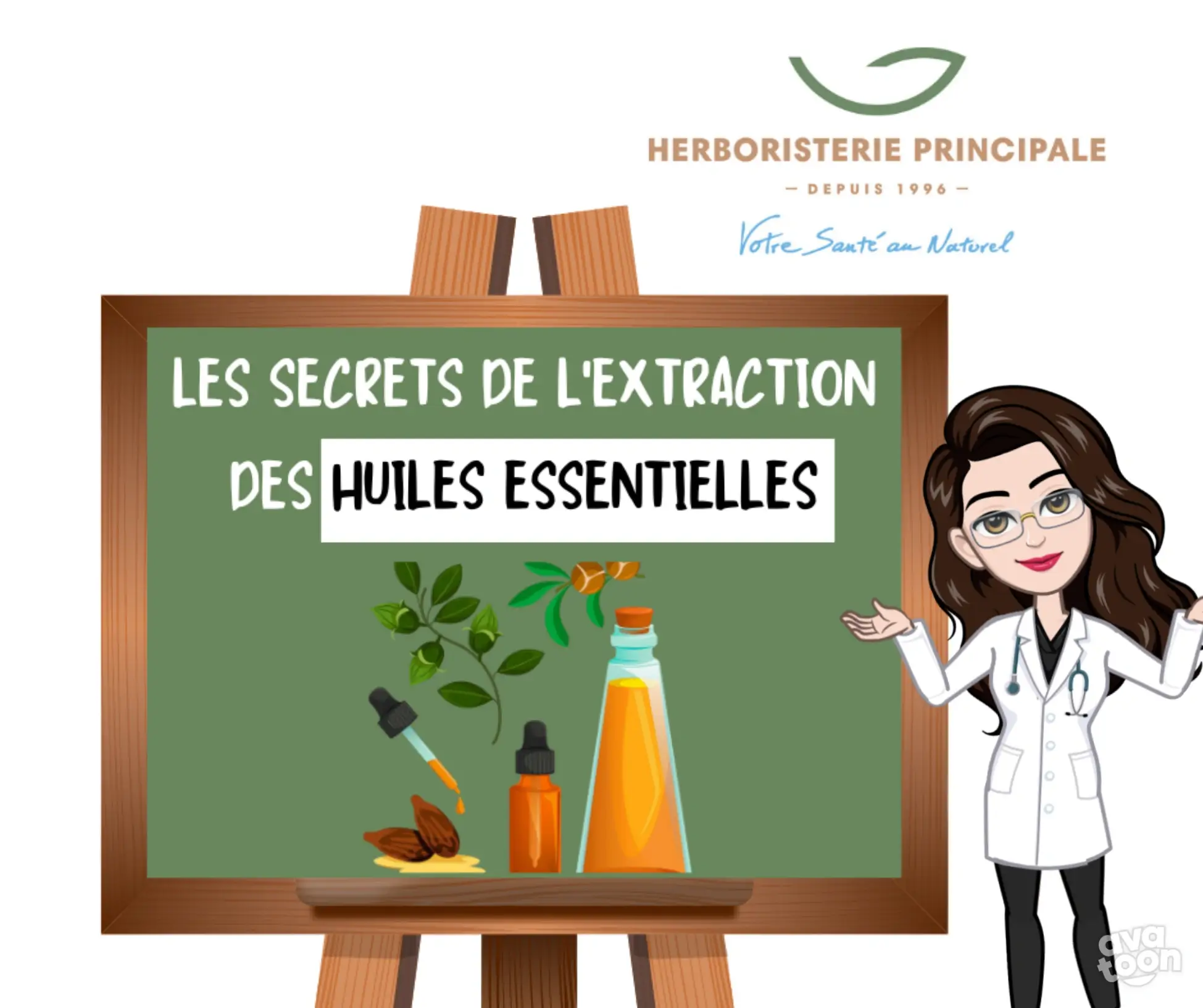 Découvrez les secrets fascinants de l’extraction des huiles essentielles !