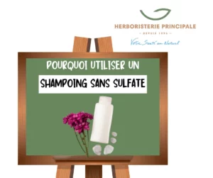 Article pourquoi utiliser un shampoing sans sulfate