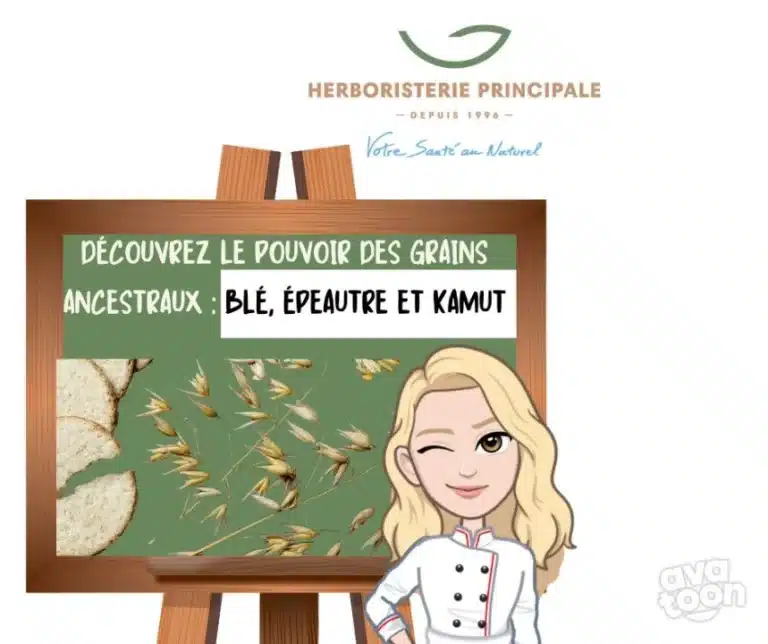 Ble epeautre kamut caricature article blog Blé, épeautre, kamut