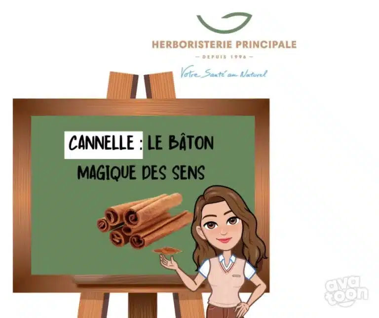 caricature article blog cannelle