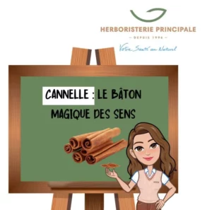 caricature article blog cannelle