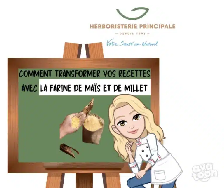 Farine de mais millet caricature article blog farine de maïs et millet