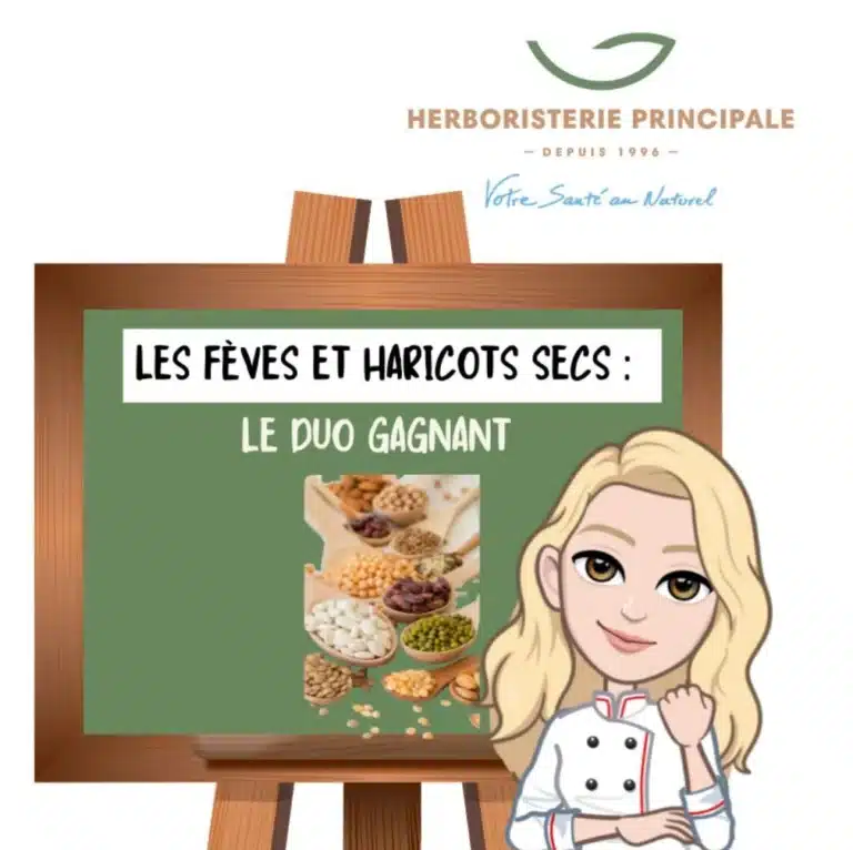Feves et haricots secs e1729707586328 caricature article blog Fèves et haricots secs
