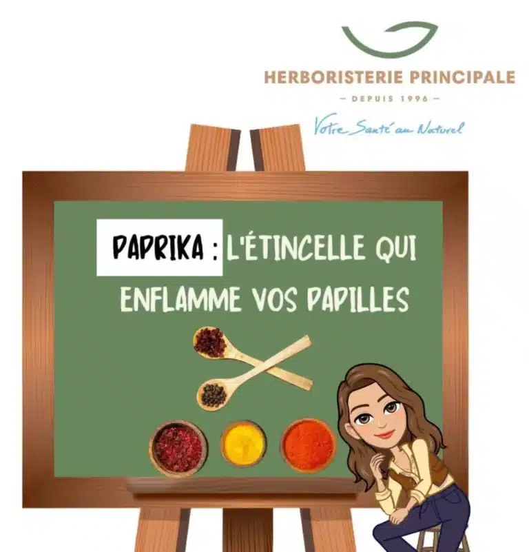 Paprika 4 e1729067827943 caricature article blog Paprika