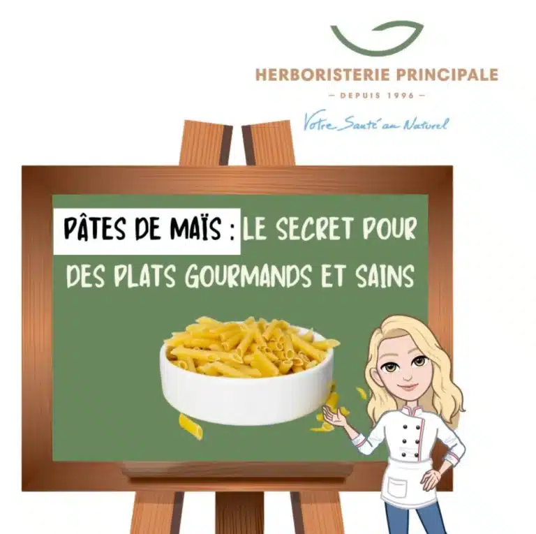 Pates de mais e1729274143971 caricature article blog pâtes de maîs