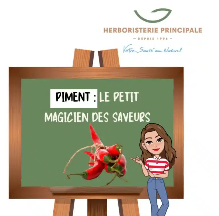 Piment e1729084490796 caricature article blog Piment