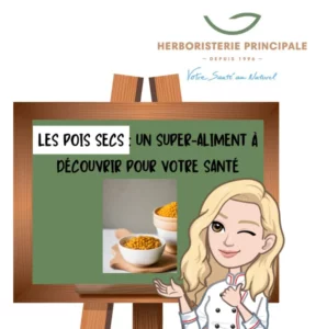 caricature article blog pois secs