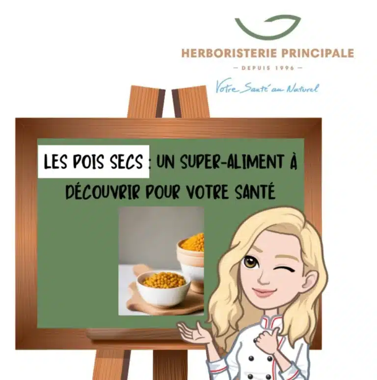 caricature article blog pois secs