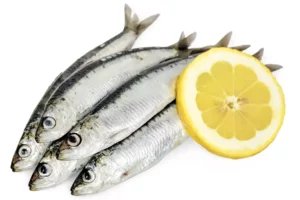 Sardines 